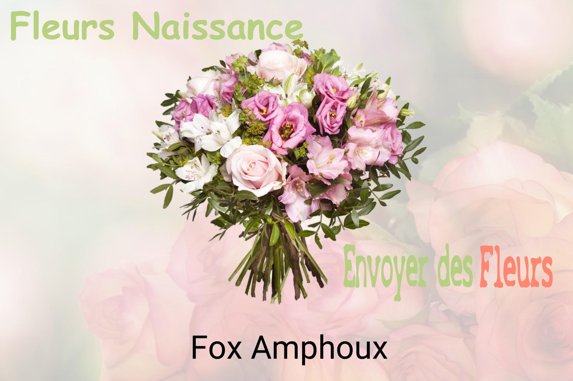 Bouquet de fleurs de naissance livré à Fox-Amphoux